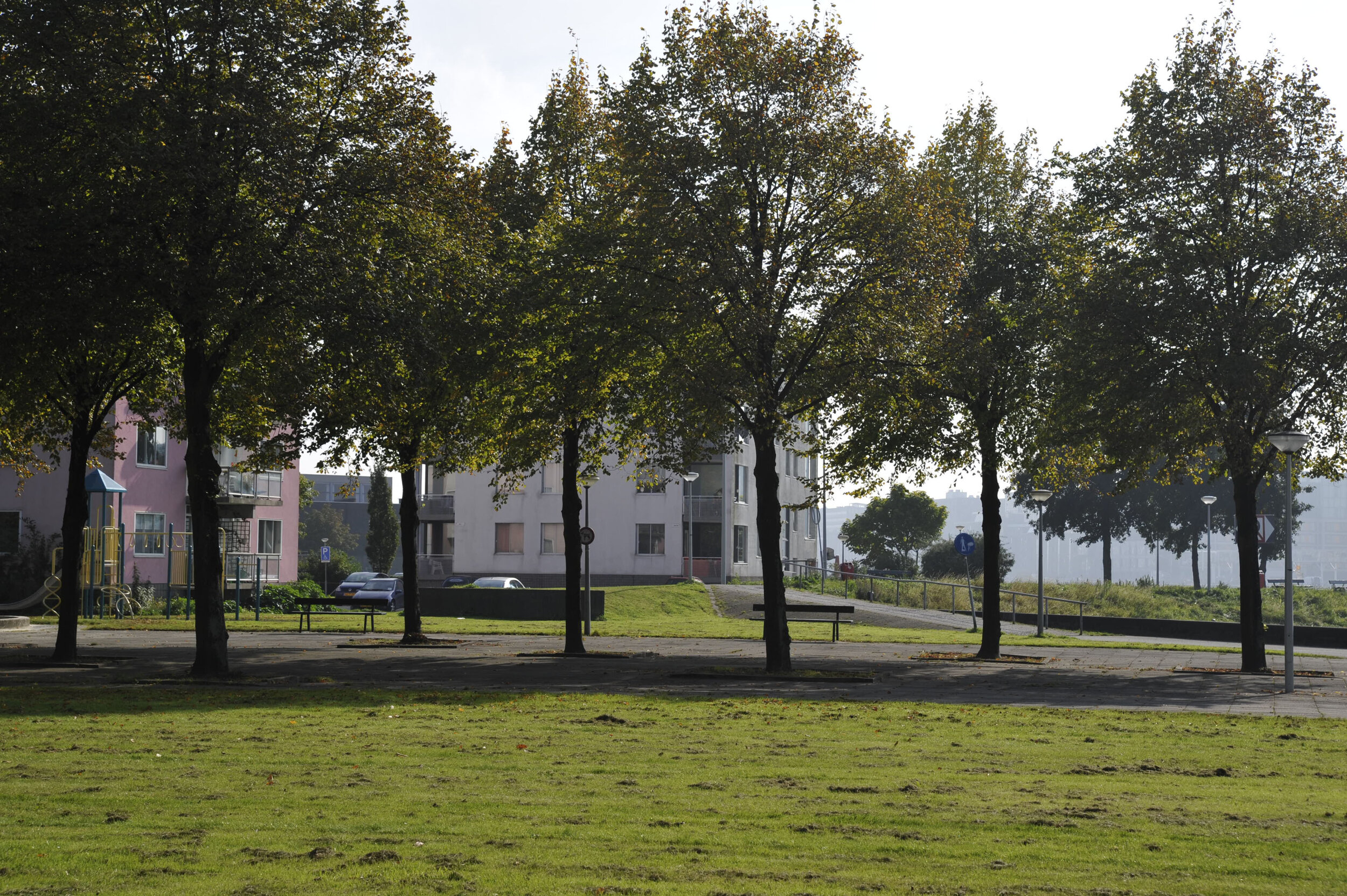 foto van de bomen bij het IJplein